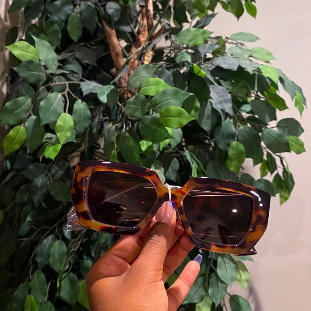 Look Don’t Touch Me | Top Tier Shades